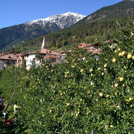 Agritur Monte Pin Feriegård Livo (Trentino Alto Adige)